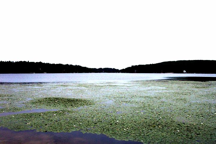 MntLaurelt 002.jpg